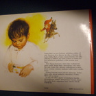 Poortvliet - Huygen: NUKKU-MATTI (1.p.1989) Sis.postikulut - pikkukuva 2