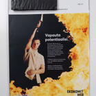 Ekonomi 4/2019 : Valta - pikkukuva 2