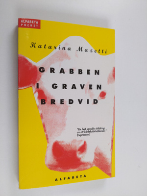 Katarina Mazetti : Grabben i graven bredvid