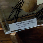 WOLFMOTHER - COSMIC EGG CD NIMMAREILLA - pikkukuva 2