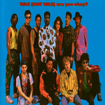 Was (Not Was) - Are You Okay? (CD) MINT!!