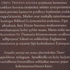 Michael P. Spradlin: Graalin vartija - pikkukuva 3