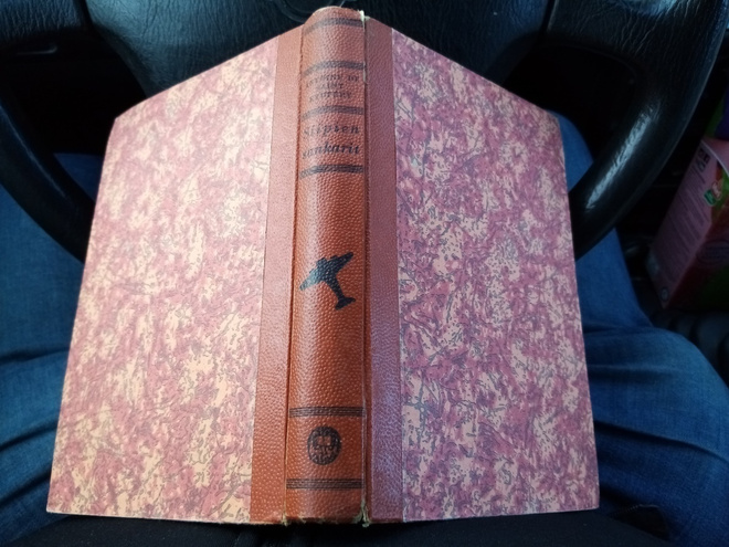 DE SAINT EXUPERY  :  SIIPIEN SANKARIT