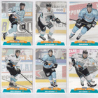 2017-18 Cardset Ser 2 Pelicans Team Set 12 korttia (289-300) - pikkukuva 2