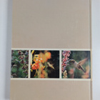 Karen A. Grant : Hummingbirds and their flowers - pikkukuva 2