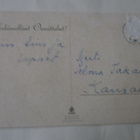 S. Blomander: Krysanteemit, väripk, p. 1950-luku - pikkukuva 2