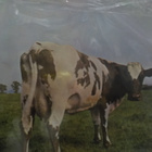 PINK FLOYD - ATOM HEART MOTHER EEC PRESS M-/EX+ LP -74 eec - pikkukuva 2