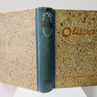Otava - Kuvallinen kuukauslehti vuosikerta 1919 (sid.) - pikkukuva 2