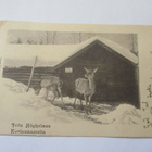 Helsinki Korkeasaari - 1903 vapaaherattarelle - pikkukuva 1