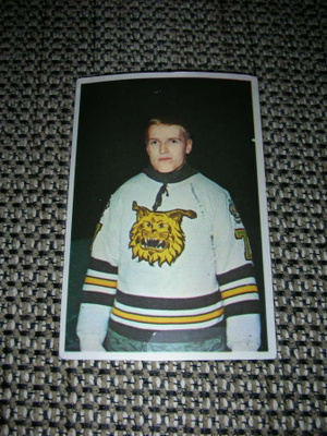 Hellas jääkiekkokortti 1965 Ilves Markku Hakanen