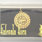 Kalevala Koru Amuletti riipus Aurinkoleijona, pronssi - pikkukuva 1