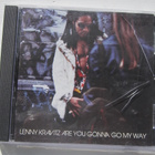 Lenny Kravitz - Are You Gonna Go My Way - pikkukuva 1