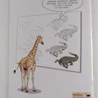 Thierry Beaudenon : Je dessine des animaux sauvages - pikkukuva 2