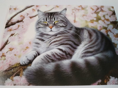 Kissa kortti,kulkematon.