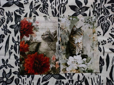 ~Kissa kortti~ 2kpl