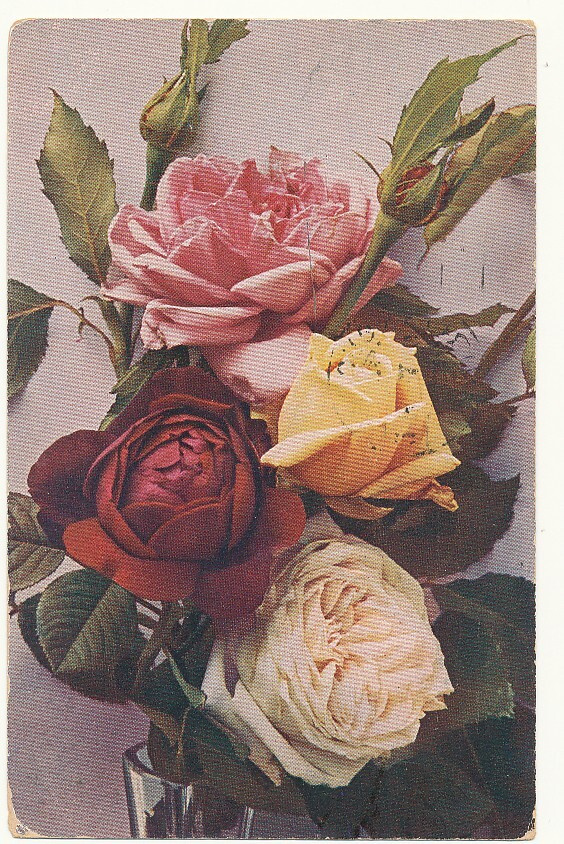 RUUSUJA - kulk. 1923