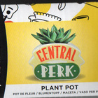 FRIENDS CENTRAL PERK PLANT POT (7 535) kasviruukkun. 10cm x - pikkukuva 1