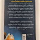 Kalle Veirto : Etsivätoimisto Henkka & Kivimutka ja kelta... - pikkukuva 2