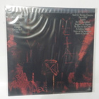 NUNSLAUGHTER - HEX  EX-/M- US 2007 PICTURE VINYL 12" - pikkukuva 2