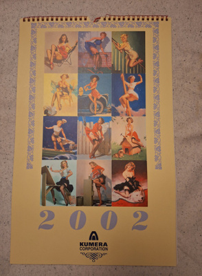 Seinäkalenteri 2002 pin-up