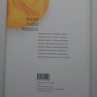 David Foster Wallace - Hauskaa, mutta ei koskaan enää - pikkukuva 3