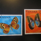 Panama: perhosia - pikkukuva 2