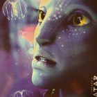 BLU-RAY AVATAR EXTENDED COLLECTOR'S 6 DISC EDITION - pikkukuva 3