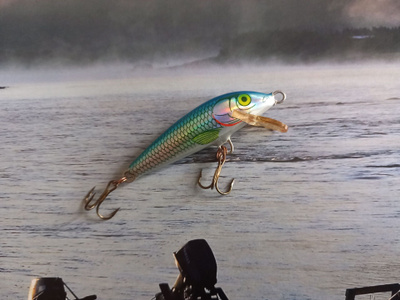 Rapala original 5