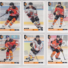 HPK Cardset Team Setit 12 korttia 3 EUR/kpl erivuosilta - pikkukuva 3