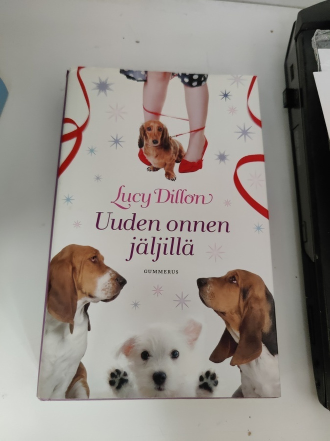 Lucy Dillon; Uuden onnen jäljillä
