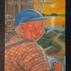 KULKEMATON TERHO PELTONIEMI HÖRÖLÄ SARJAA - pikkukuva 1
