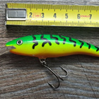 Rapala tail dancer! - pikkukuva 1