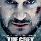 grey - suden hetki	(17 171)	k	-FI-	suomik.	DVD		liam neeson - pikkukuva 2