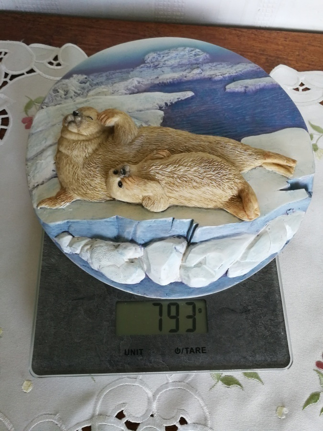 Hylje seinätaulu