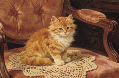 Kissa kortti