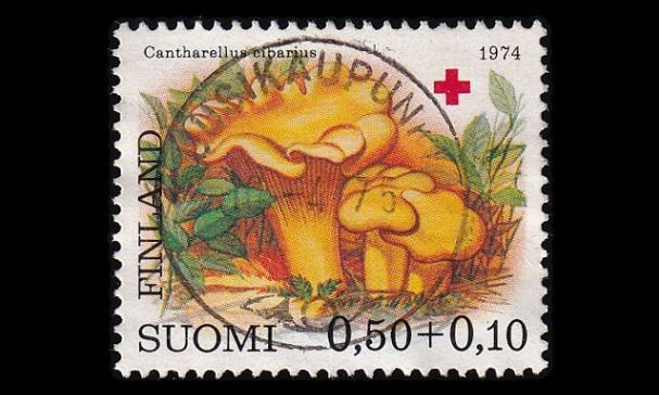 753 o Punainen Risti loisto Uusikaupunki 10.4.75 (1974)