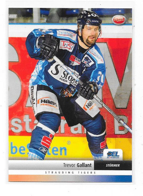 2007-08 DEL #428 Trevor Gallant , Straubing Tigers , Hermes