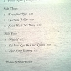 Robert Plant & Alison Krauss - Raising Sand LP - pikkukuva 4
