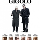 Fading Gigolo - DVD - pikkukuva 1
