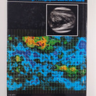 Geoffrey Briggs : The Cambridge photographic atlas of the... - pikkukuva 2