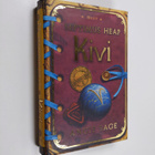 Angie Sage : Kivi - pikkukuva 1