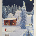 Arto Paasilinna : Kuusilaakson tarinoita - pikkukuva 2