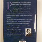 Terri Blackstock : Myrskyn alla - pikkukuva 2