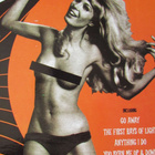 The Satelliters – Hashish (RARE garage- LP, 2005) - pikkukuva 3