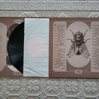 Mother Earth – Make A Joyful Noise (LP) - pikkukuva 2