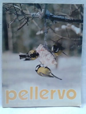 Pellervo No 4 maaliskuu 1981