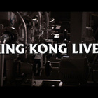KING KONG LIVES dvd 1986 - pikkukuva 5