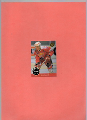 LEAF Jääkiekko n:o 315 1994 Tommi Rajamäki Ässät.