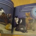 Best in Show - Knit Your Own Cat - Muir & Osborne - Uusi - pikkukuva 2
