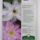Uusi safiiri 1/2008 - pikkukuva 2